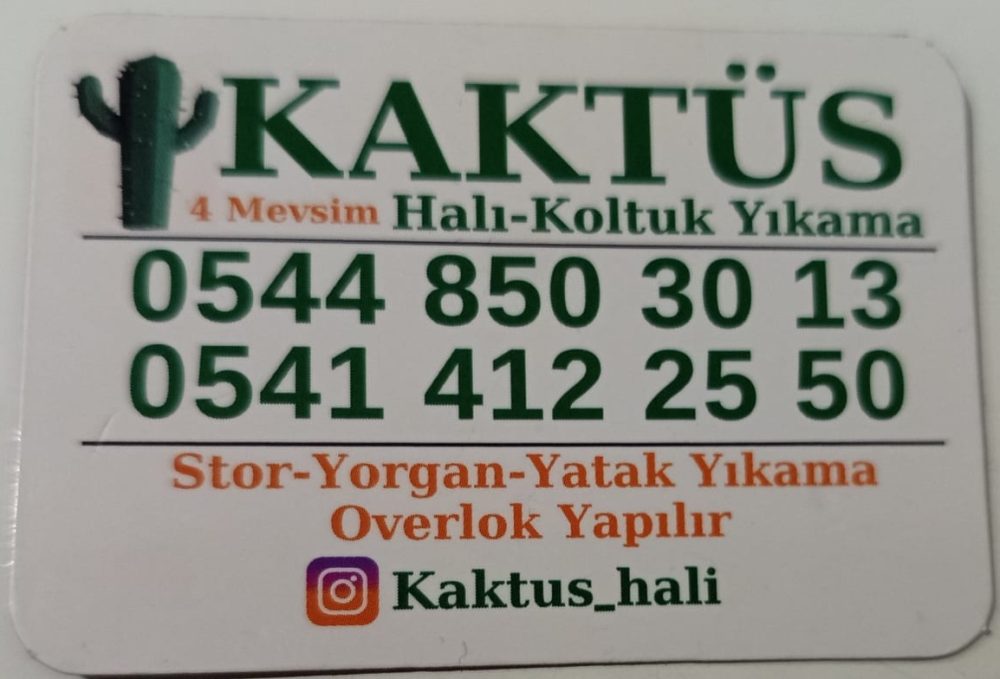 Kaktüs Halı Koltuk Yıkama